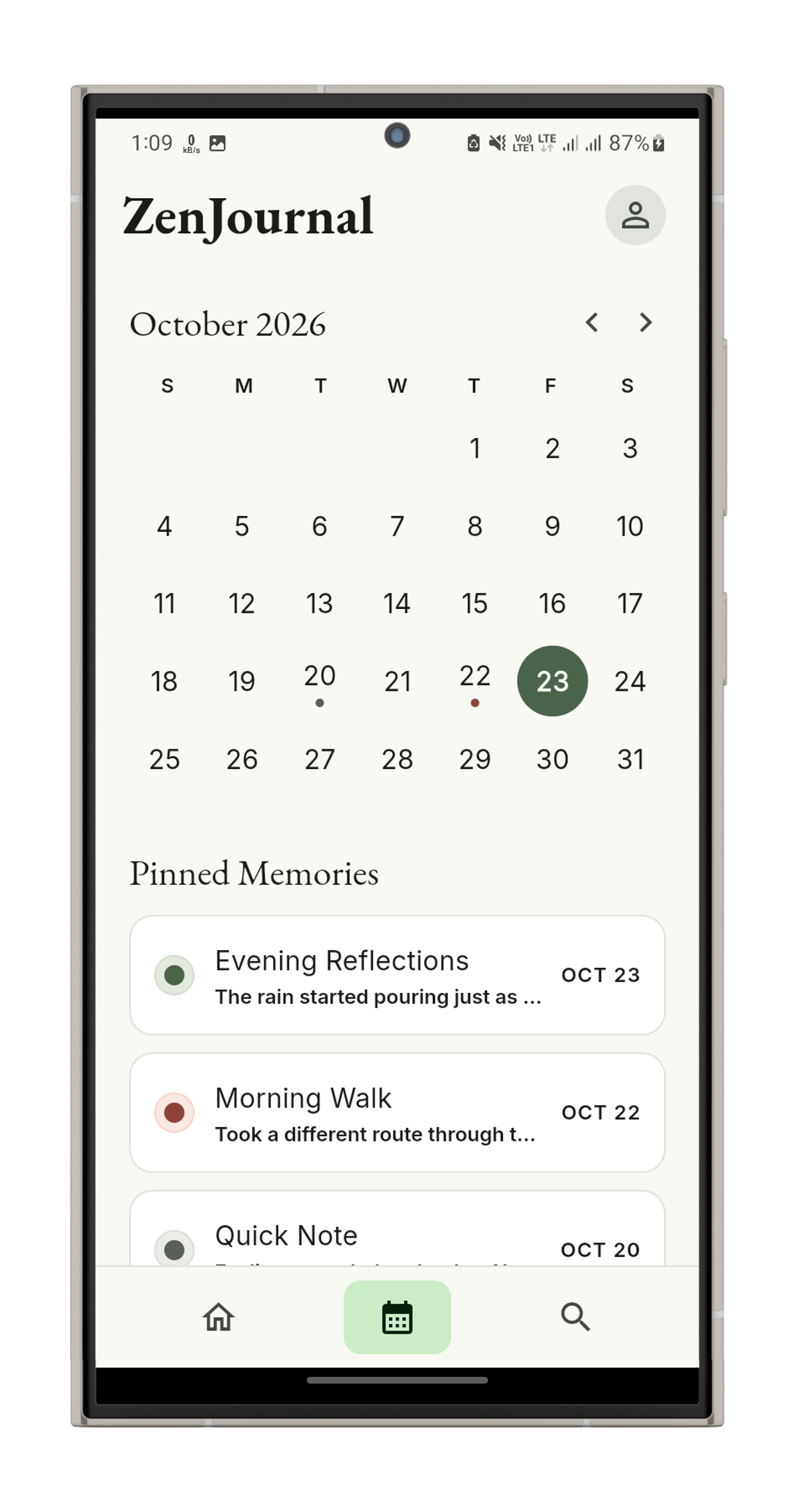 Past entries screen in the Journal app